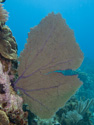 Key Largo